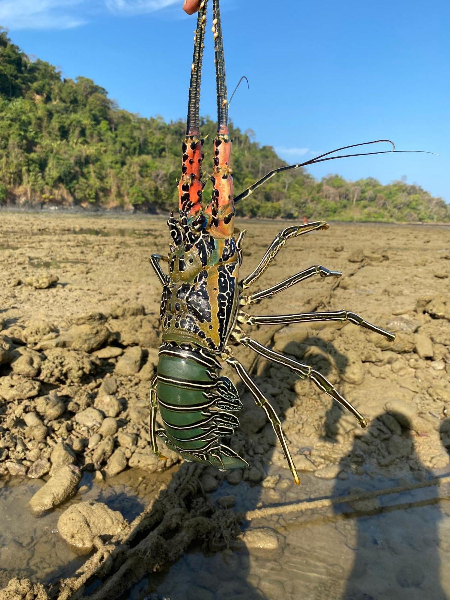Pankabay Resort Ko Bulon Le 외부 사진